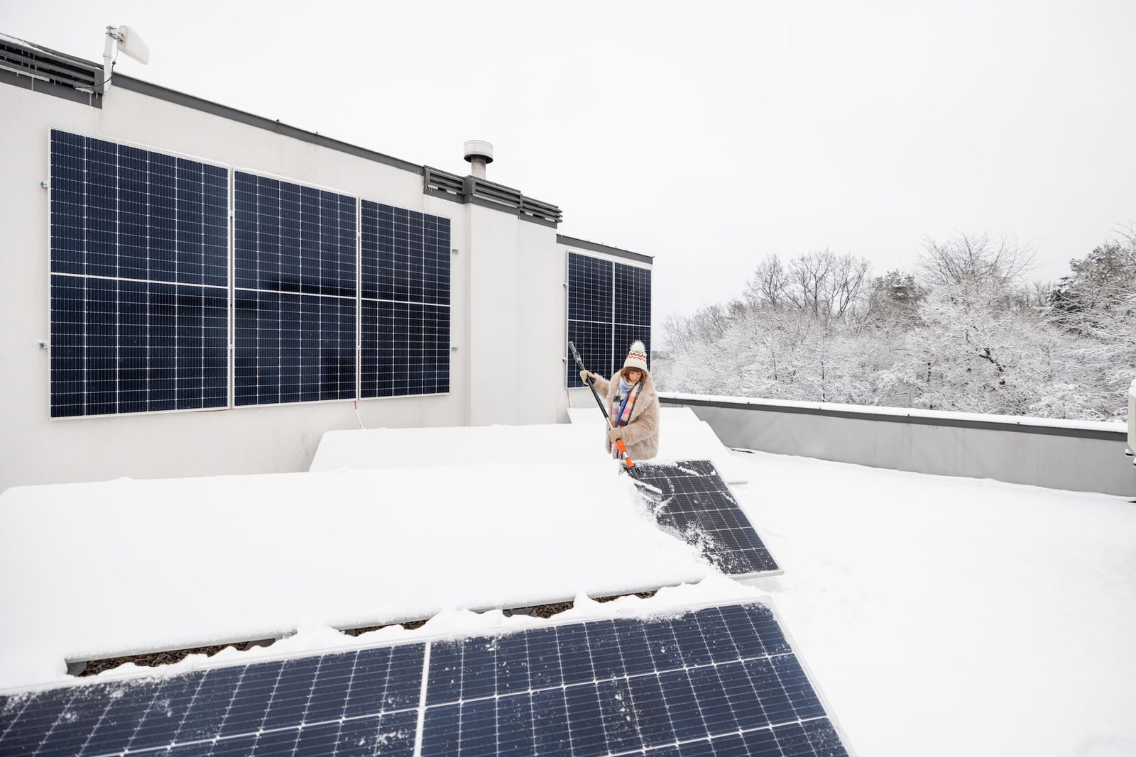 Snow Guard Installation