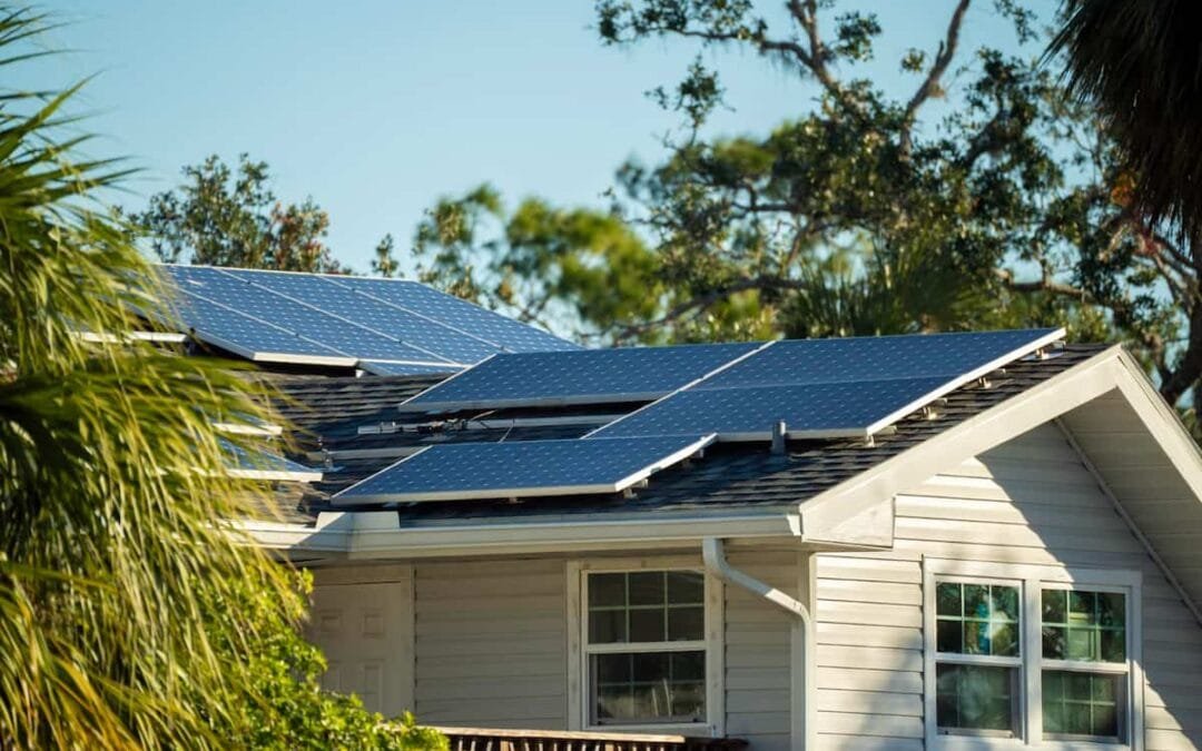Why You Should Book Professional Solar Services with Solar X in Summer 2025