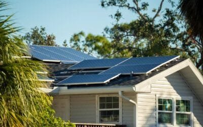 Why You Should Book Professional Solar Services with Solar X in Summer 2025